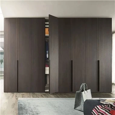 Small Modern Walk in Closet