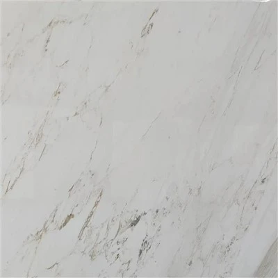 Vinas White Marble Stone